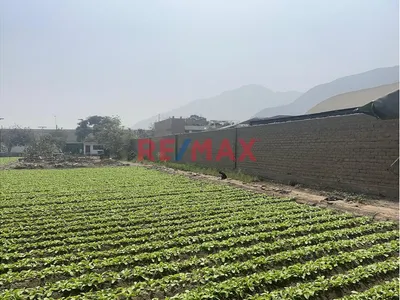 Terreno En Venta - Lotes Pre Urbano De 4,000 M² - Zona De Industria Liviana (I-2) En Nevería Chambala, Lurigancho