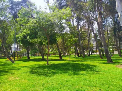 Venta de Departamento en San Isidro - Lima