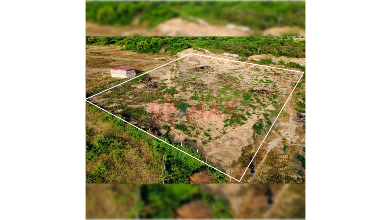 Terreno De 1 Hectárea Con Potencial Urbano