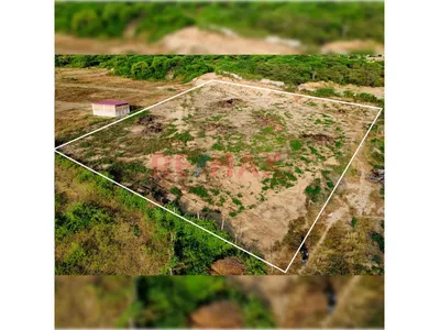 Terreno De 1 Hectárea Con Potencial Urbano