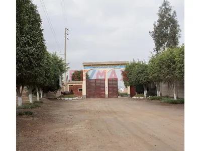 🏡 Venta De Terreno De 196.04 M² En Cieneguilla | Urbanización Segura 🌿