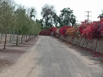 Venta de Terreno / Lote en El Carmen - Chincha