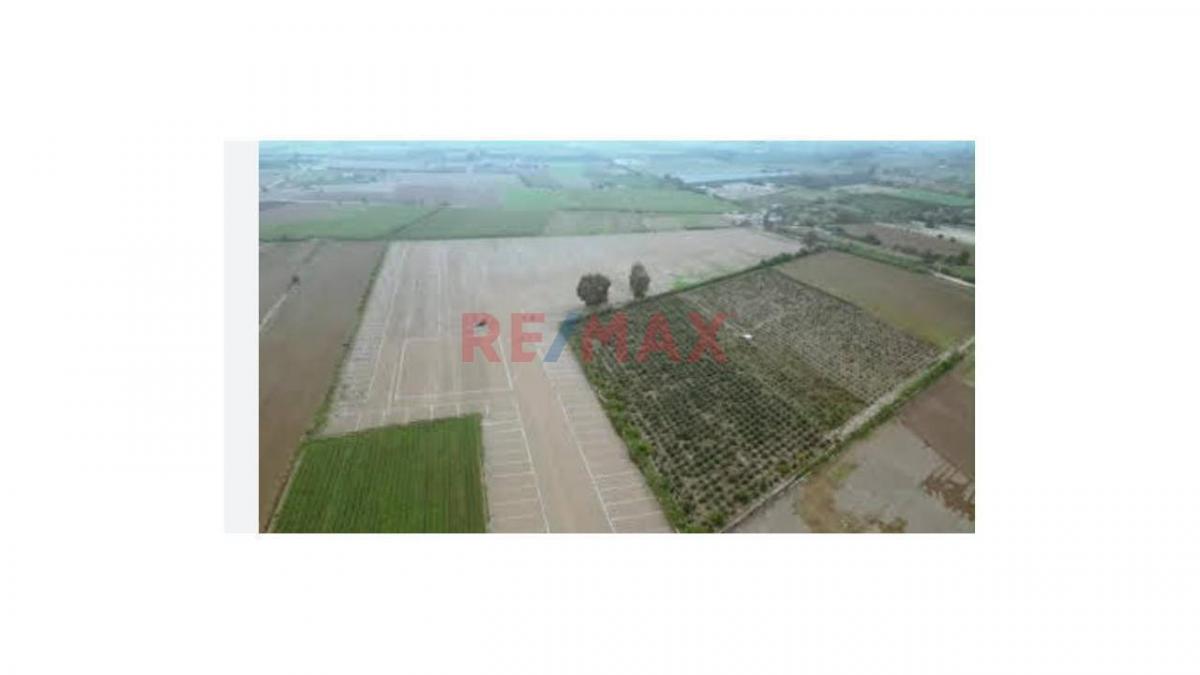 Venta de Terreno / Lote en - Huaral 0 Dormitorio 