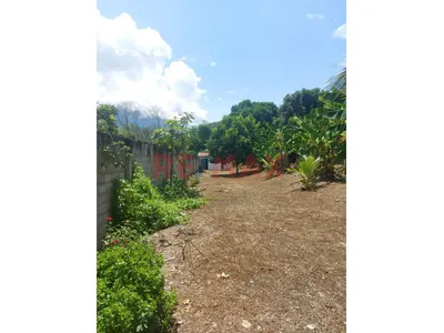 🌿 Venta De Terreno En Quillabamba – Ceja De Selva, Clima Cálido Todo El Año ☀️