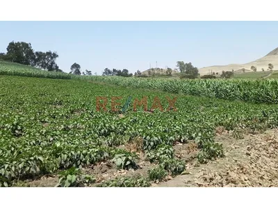 🌱 ¡Oportunidad Agrícola Estratégica En Barranca! 🌾