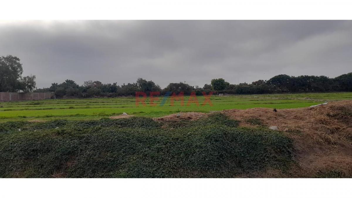 Venta de Terreno / Lote en Pachacamac - Lima 0 Dormitorio 
