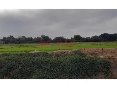 Venta de Terreno / Lote en Pachacamac - Lima