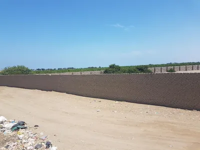Venta de Terreno / Lote en Sunampe - Chincha 0 Dormitorio 