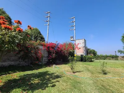 Venta De Fundo 50,000 M²  - $10.78 M2, Ideal Para Proyectos De Inversión Inmobiliaria O Desarrollo Agrícola.