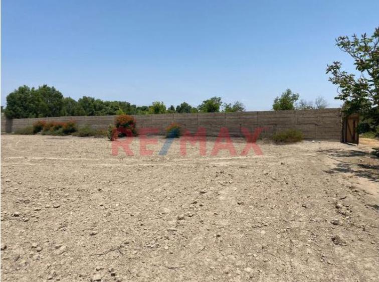 Venta de Terreno / Lote en El Carmen - Chincha 0 Dormitorio 