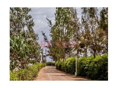 🌿 Terreno En Venta – Condominio Privado “El Sueño”