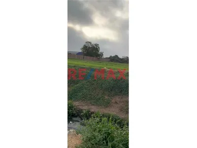 Venta De Terreno 13Mil M2 En Pachacamac