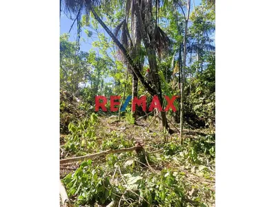 🌿 ¡Gran Oportunidad De Inversión Agrícola En Aucayacu! 🌿
