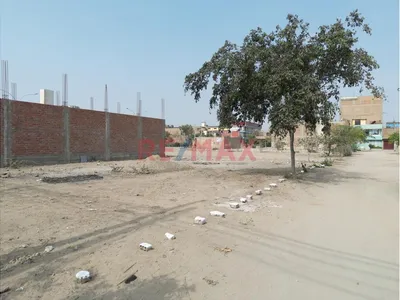 Terrenos Urbanos Planos En Puente Piedra Calle Los Duraznos Ideales Para Vivienda O Inversión