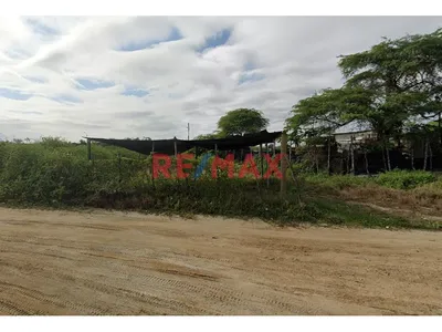 🌊🦐 Venta De Terreno Agroindustrial En Zarumilla 🚜📍