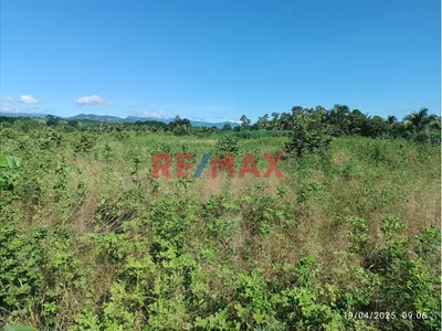 Terreno Rural Cerca A Tarapoto