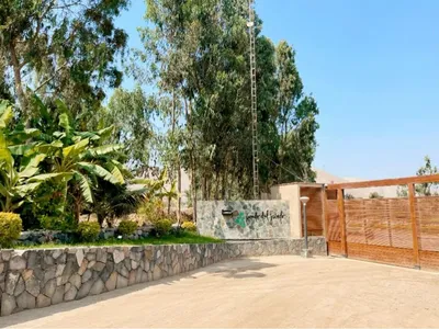 Venta de Terreno / Lote en Pachacamac - Lima