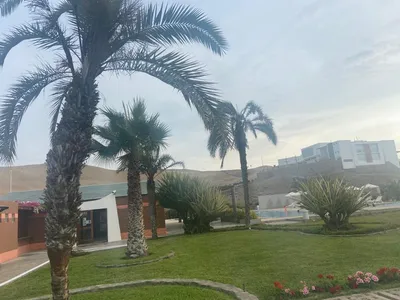 Venta de Terreno / Lote en Cerro Azul - Cañete