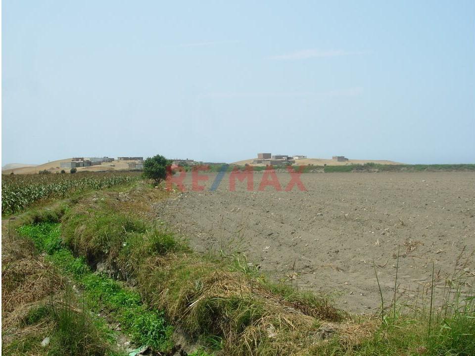 Venta de Terreno / Lote en - Barranca 0 Dormitorio 