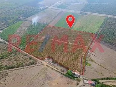 Venta de Terreno / Lote en Huaral