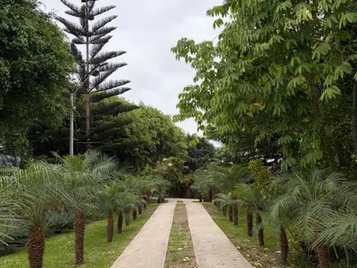 Terreno 427 m²