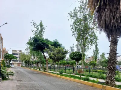 Alquiler de Departamento en Los Olivos - Lima 2 Dormitorios 