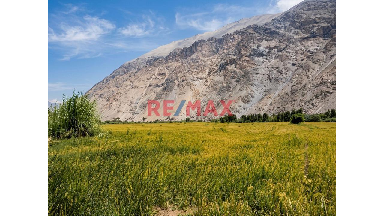 Terreno Agrícola En Venta – Uraca, Valle De Majes