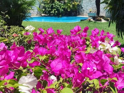 Venta de Casa en La Molina - Lima 3 Dormitorios