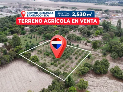 Venta De Terreno De 2530 M2 Con Plantaciones De Paltos