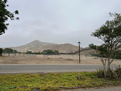 Venta de Terreno / Lote en San Antonio - Cañete