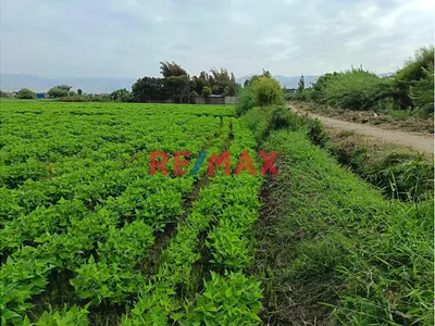 Terreno Agricola En Venta - La Deheza – Camana