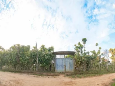 Vendo Terreno De 9 Hectáreas Con 444M2 En El Mismo Moyobamba