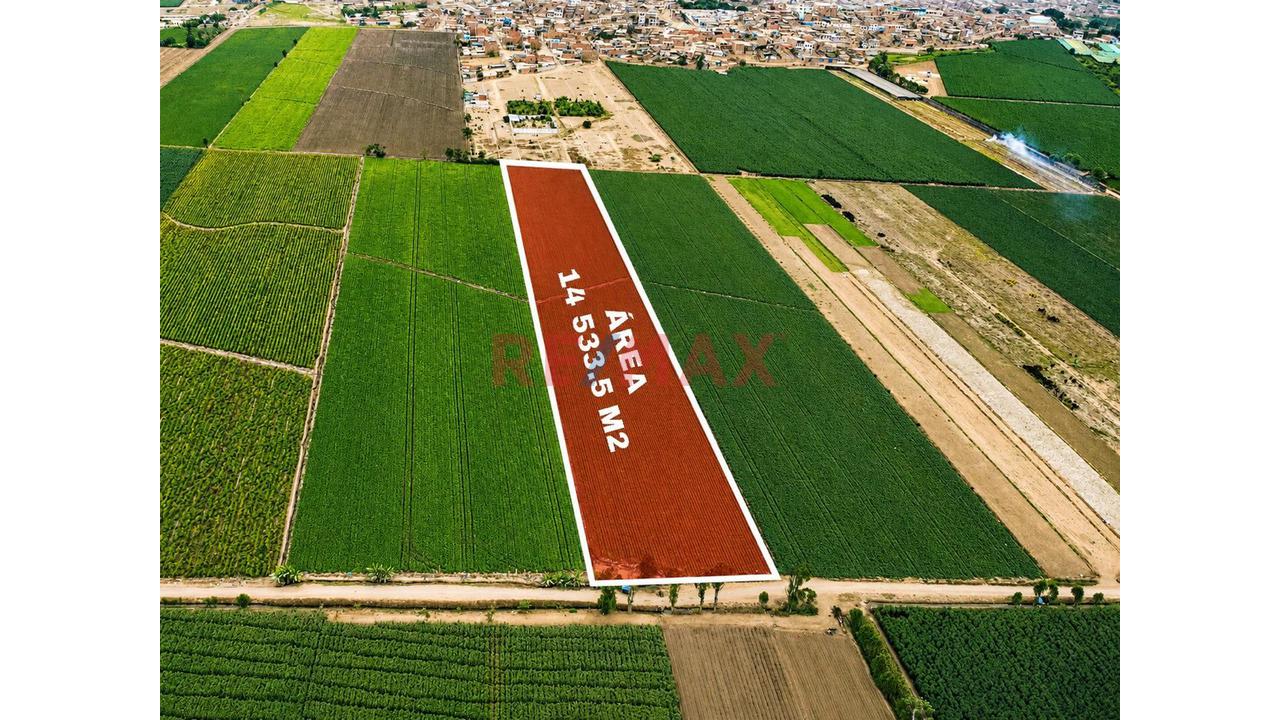 Terreno Agricola 2Has En San Luis Cañete