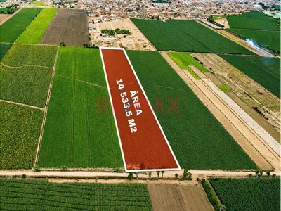 Terreno Agricola 2Has En San Luis Cañete