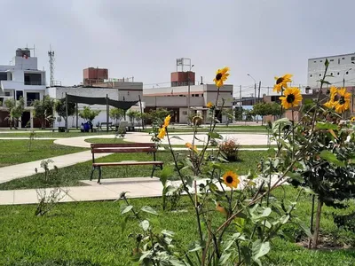 Venta de Local Industrial en Ancón - Lima 0 Dormitorio 
