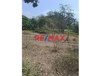 🌳 Venta De Terreno De 1.8 Ha En Pachacamac