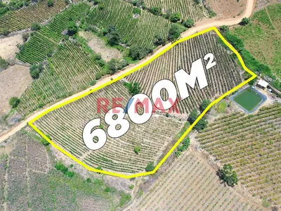 Terreno Agricola De 6800M2 En Venta En Cascas