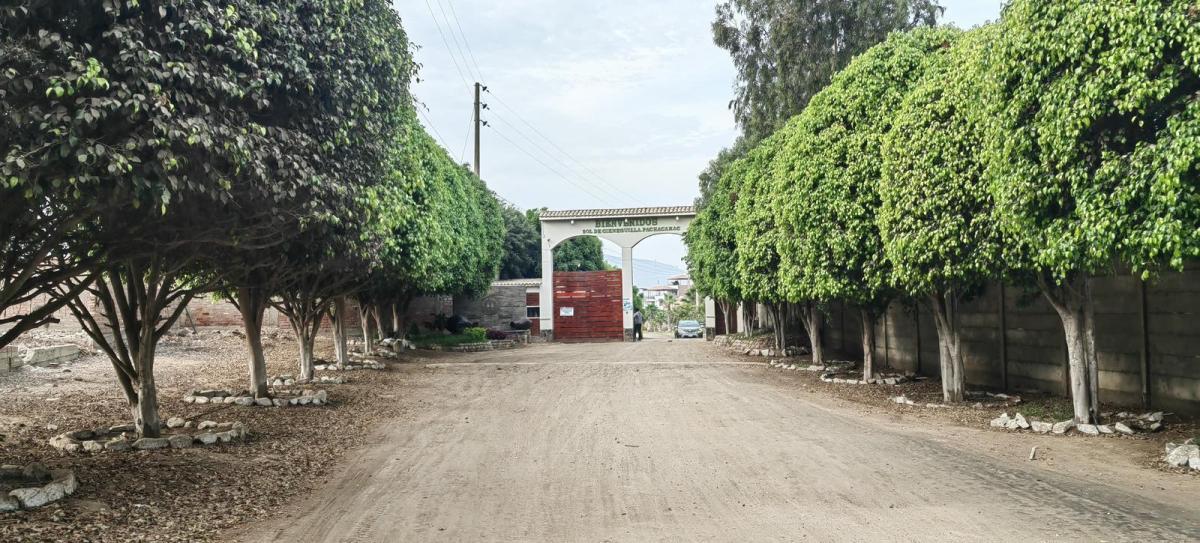 Venta de Terreno / Lote en Cieneguilla - Lima 0 Dormitorio 