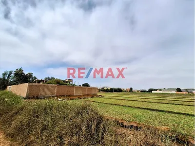 Vendo Terreno Ex Fundo En Lurin- Industrial Y/O Agricola