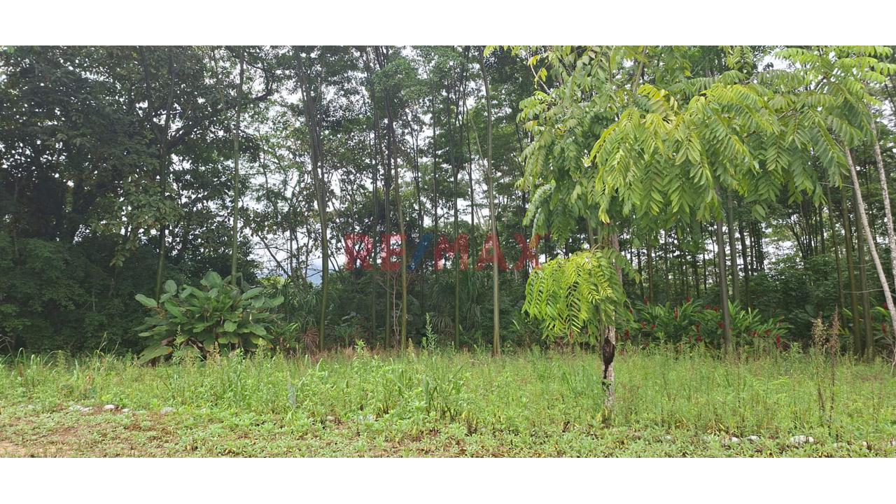 Se Vende Terreno  En Tingomaria /Luyando