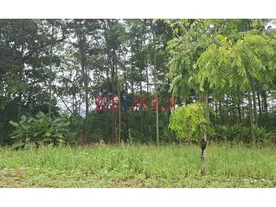Se Vende Terreno En Tingomaria /Luyando