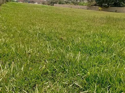 Venta de Terreno / Lote en Pachacamac - Lima 8 Dormitorios