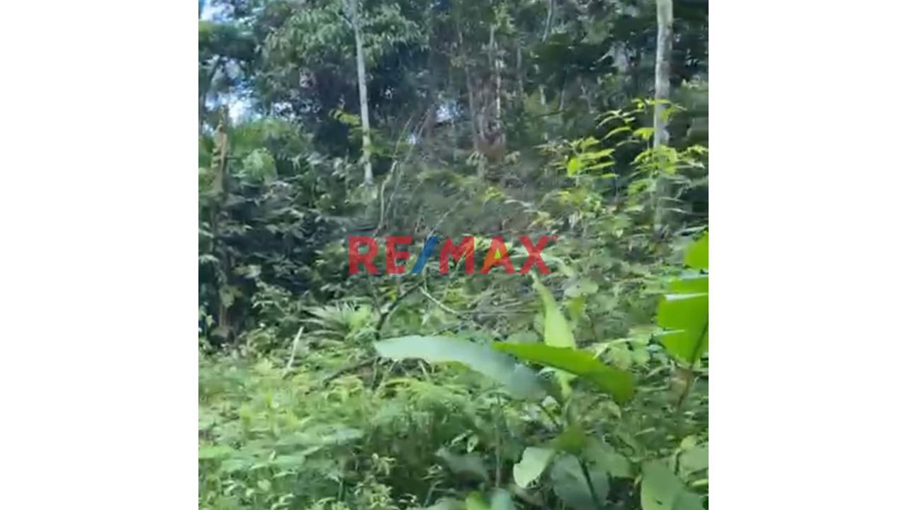 Se Vende Terreno Agricola En Maynas Iquitos