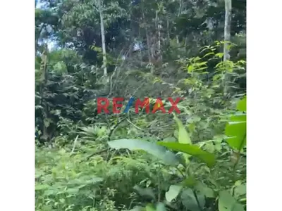 Se Vende Terreno Agricola En Maynas Iquitos