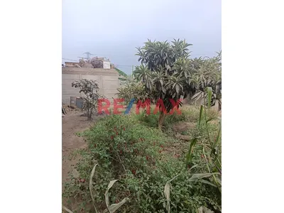 Lote De Terreno En Venta En Carabayllo De 130M2