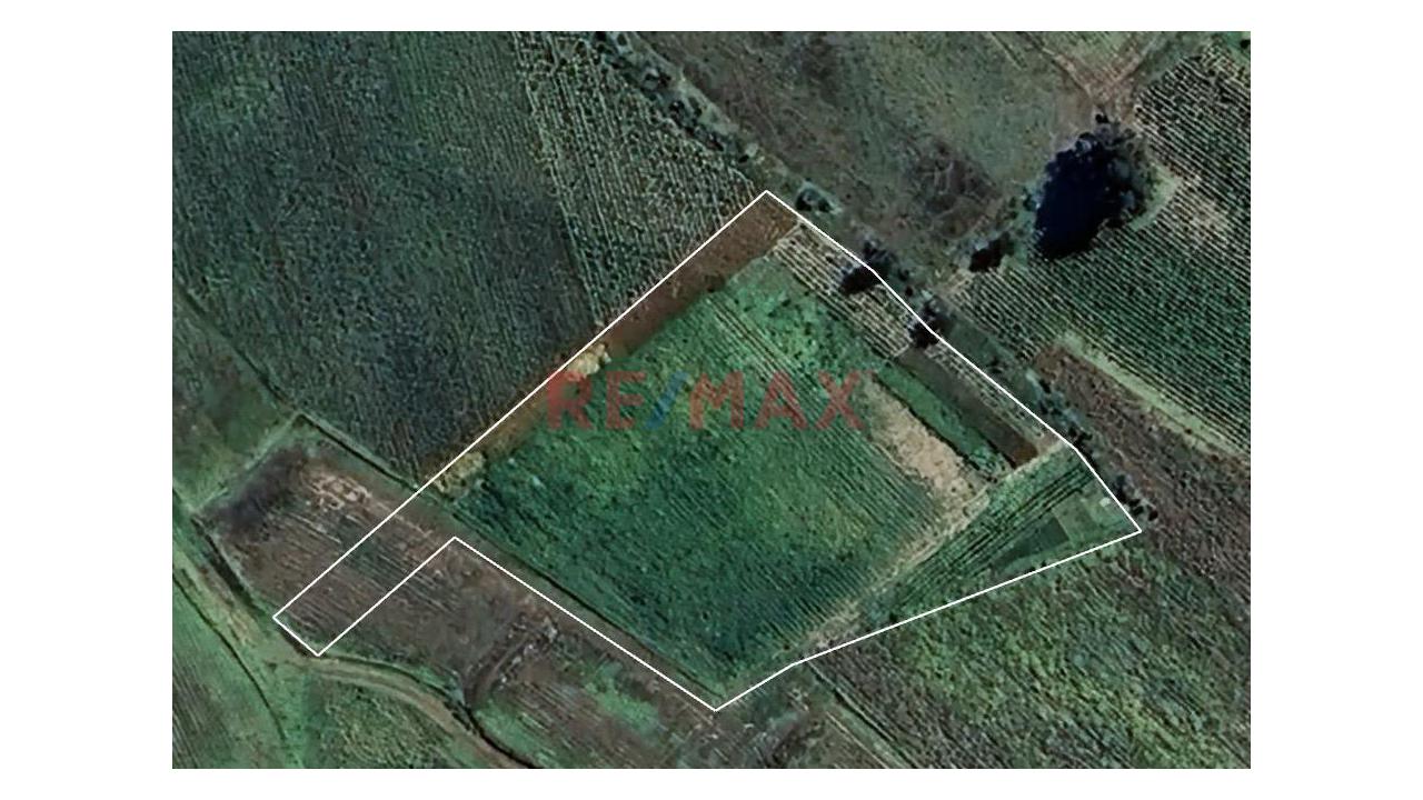 Venta De Terreno En San Jerónimo - Hyo