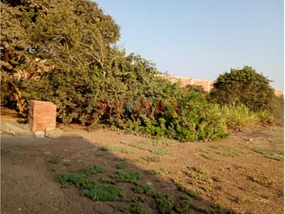 Venta De Terreno De 5,977.38 M² En San Vicente De Cañete – A 25 M De Panamericana Sur