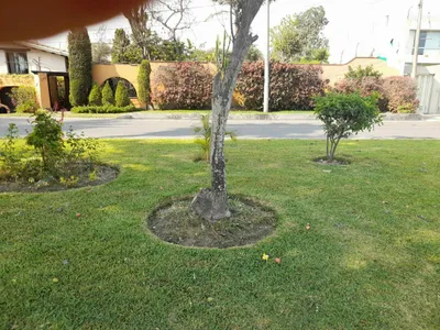 Casa en venta · Calle Bejar 2, La Molina · 220 m², 3 dorm.