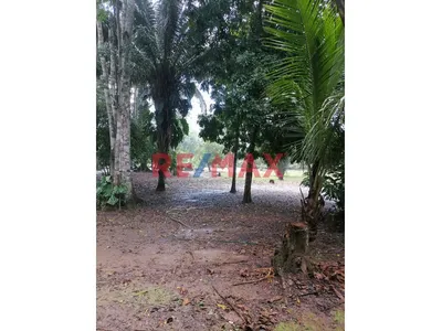 Se Vende Terreno En Tambopata 1 Hectarea- Corredor Turistico