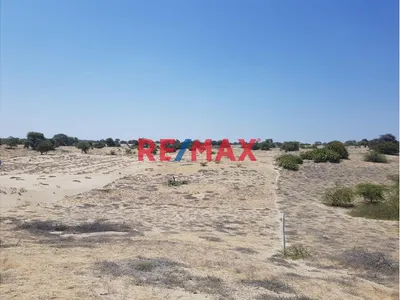 📍🌄 Se Vende Proyecto Lotizado | 📐1 Ha – Caserío El Molino, Piura | 32 Lotes De 200 M² | 🔰Escritura En Registros Públicos | A 15 Min De Piura | Ideal Casas De Campo 🏡✅